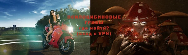 молекула духа Баксан